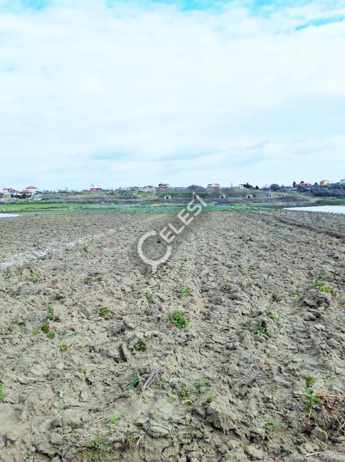 Tokë bujqësore në shitje, Divjake, Lushnje — foto 3