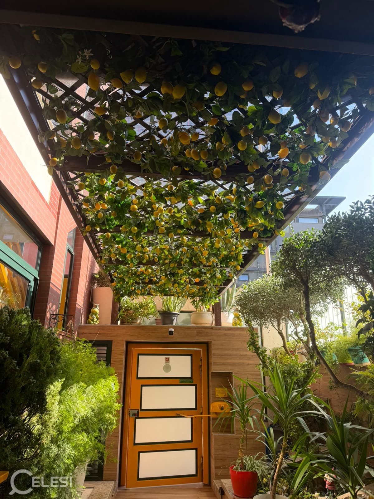 Apartament 1+1 me qira, komuna parisit — foto 4