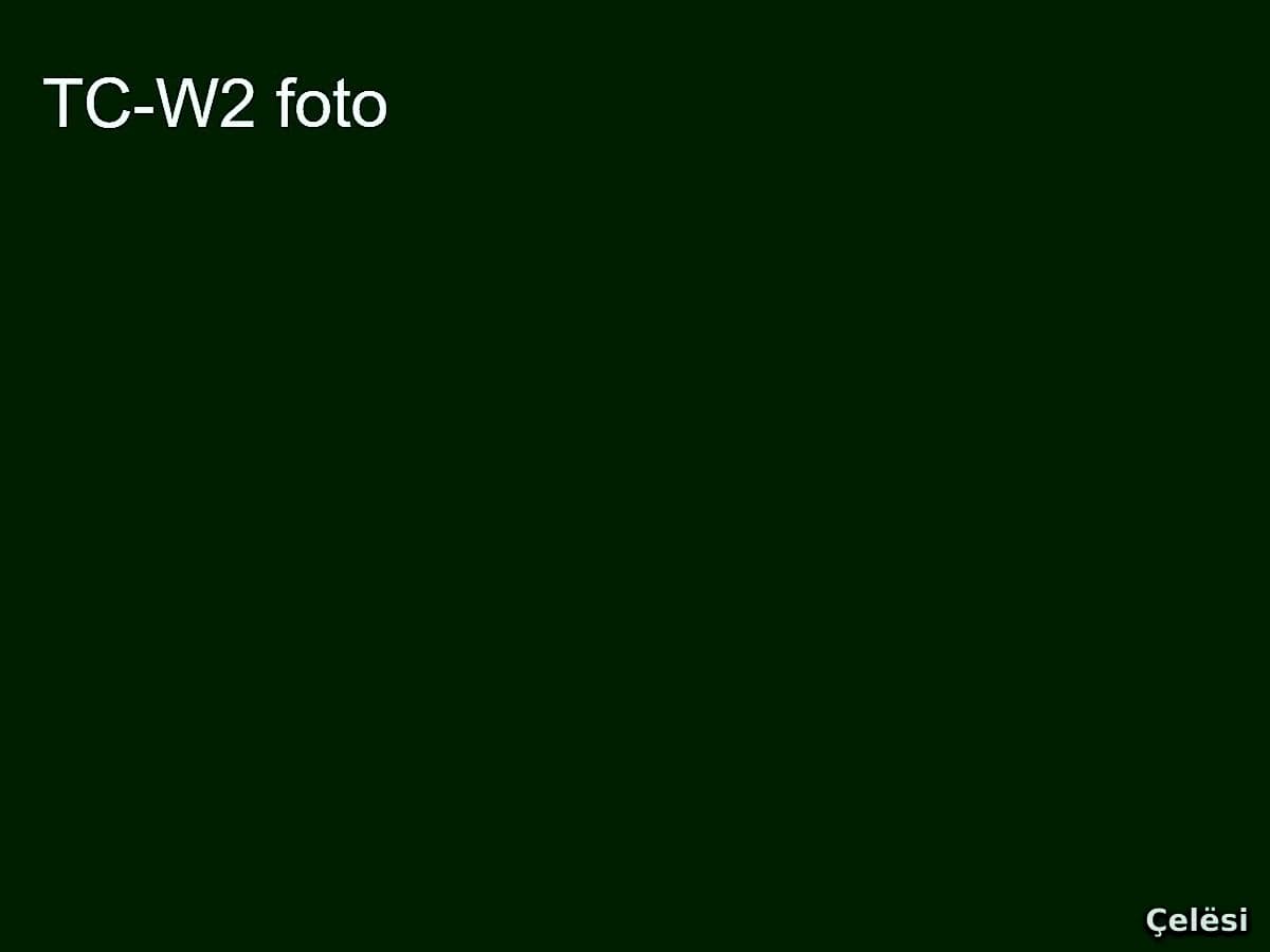 TC-W2 Kamarier me eksperience Tirane