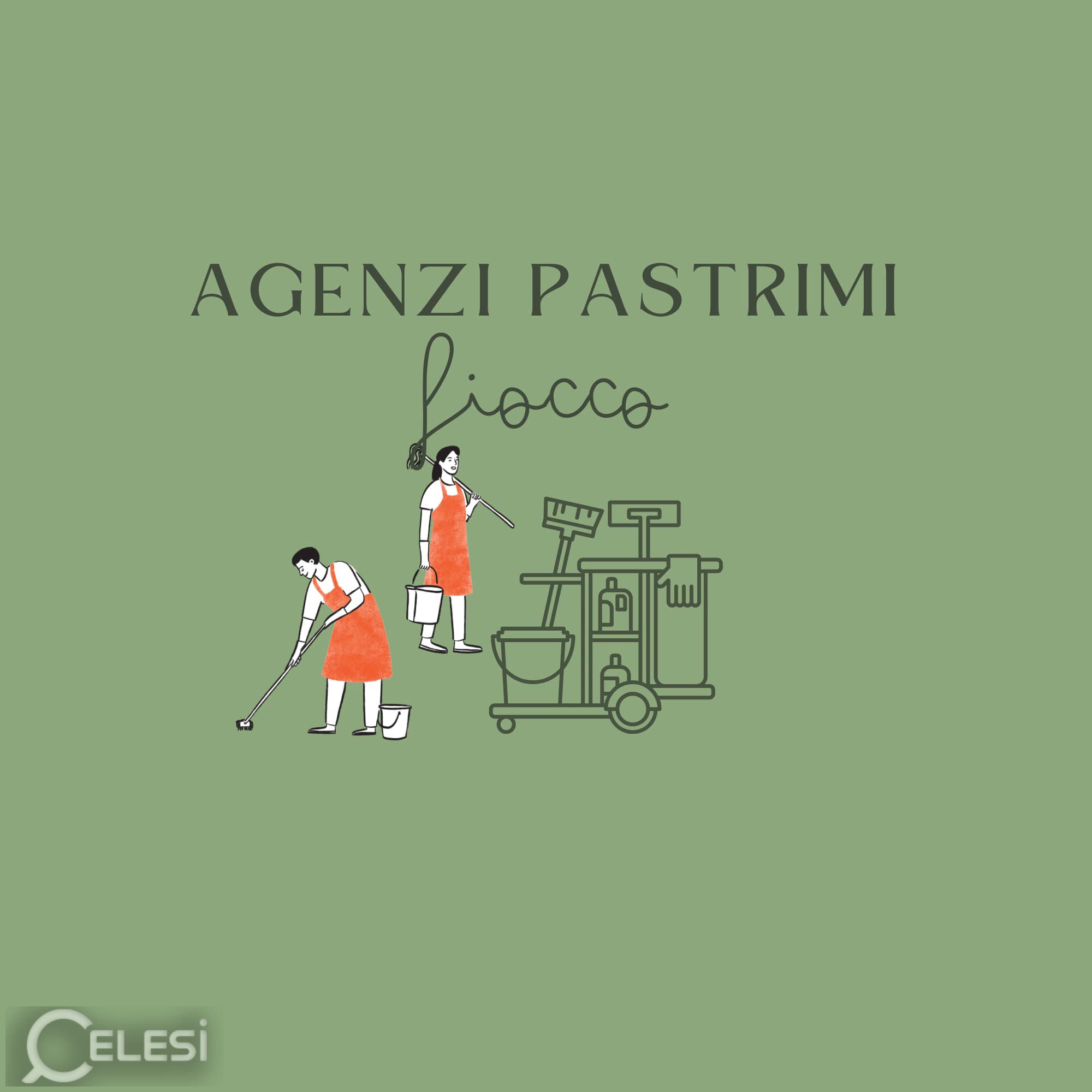 Agjencia e Pastrimit FIOCCO - Shërbime profesionale pastrimi